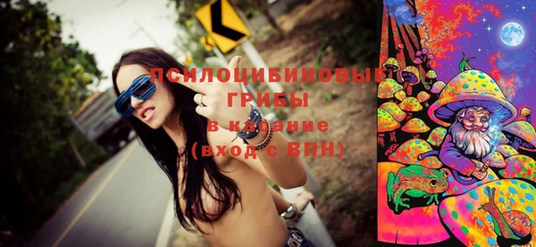 гидропоника Козловка
