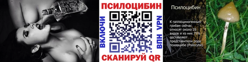 omg ONION  Лагань  Галлюциногенные грибы ЛСД 